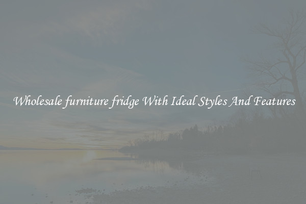 Wholesale furniture fridge With Ideal Styles And Features