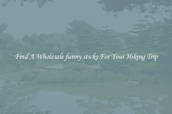 Find A Wholesale funny sticks For Your Hiking Trip