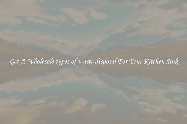 Get A Wholesale types of waste disposal For Your Kitchen Sink