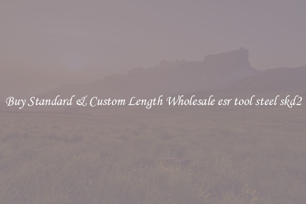 Buy Standard & Custom Length Wholesale esr tool steel skd2