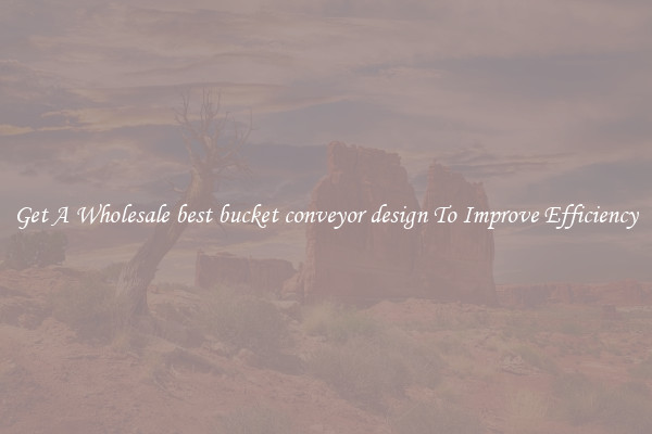 Get A Wholesale best bucket conveyor design To Improve Efficiency