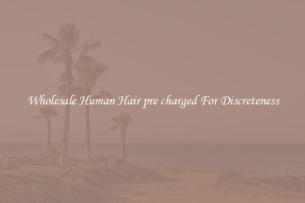 Wholesale Human Hair pre charged For Discreteness