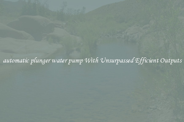 automatic plunger water pump With Unsurpassed Efficient Outputs
