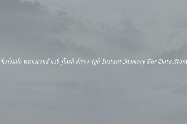 Wholesale transcend usb flash drive 4gb Instant Memory For Data Storage