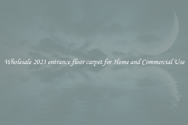 Wholesale 2023 entrance floor carpet for Home and Commercial Use