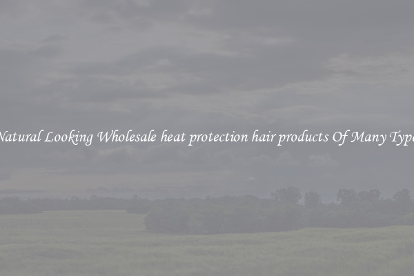 Natural Looking Wholesale heat protection hair products Of Many Types
