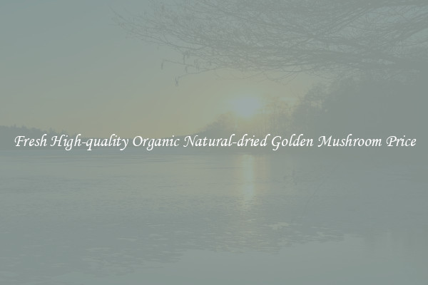 Fresh High-quality Organic Natural-dried Golden Mushroom Price