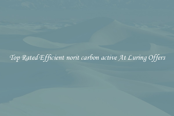 Top Rated Efficient norit carbon active At Luring Offers