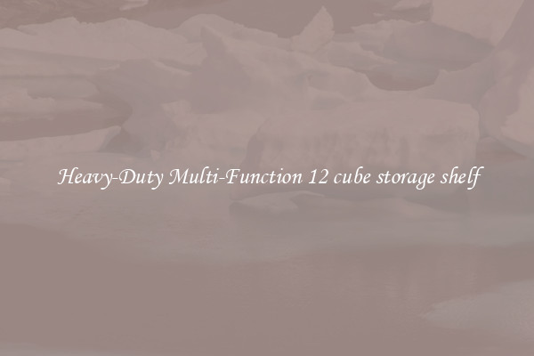 Heavy-Duty Multi-Function 12 cube storage shelf