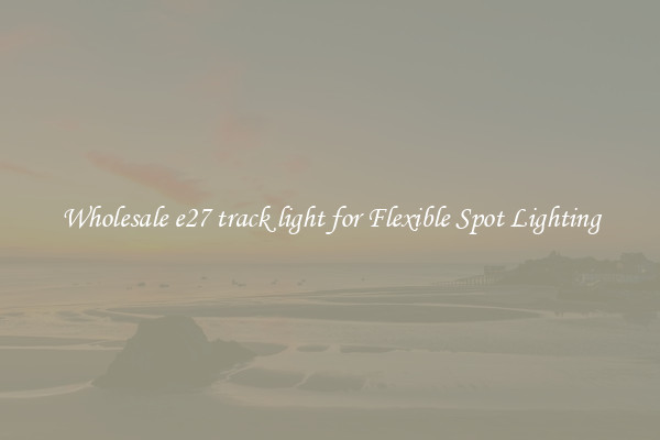 Wholesale e27 track light for Flexible Spot Lighting