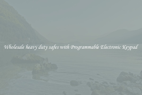 Wholesale heavy duty safes with Programmable Electronic Keypad 