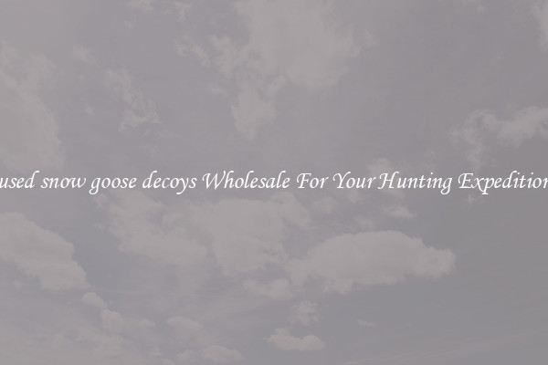 used snow goose decoys Wholesale For Your Hunting Expedition