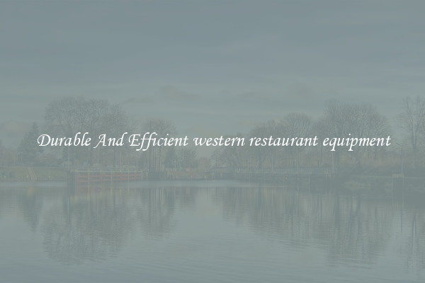 Durable And Efficient western restaurant equipment