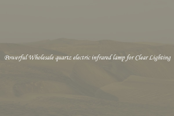 Powerful Wholesale quartz electric infrared lamp for Clear Lighting