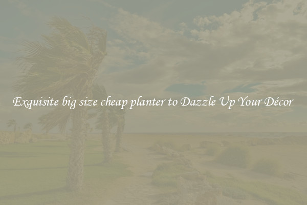 Exquisite big size cheap planter to Dazzle Up Your Décor 