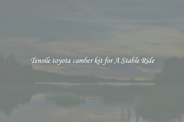 Tensile toyota camber kit for A Stable Ride