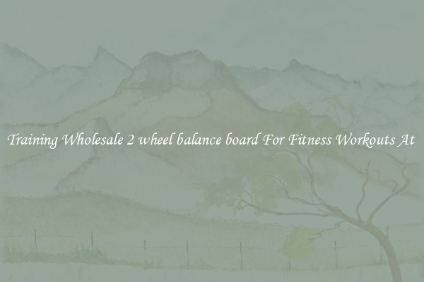 Training Wholesale 2 wheel balance board For Fitness Workouts At 