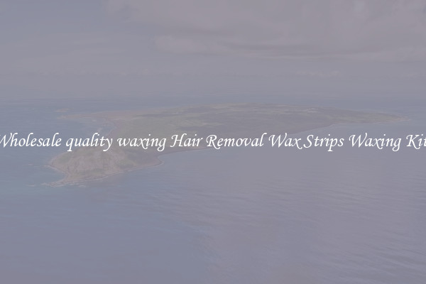 Wholesale quality waxing Hair Removal Wax Strips Waxing Kits