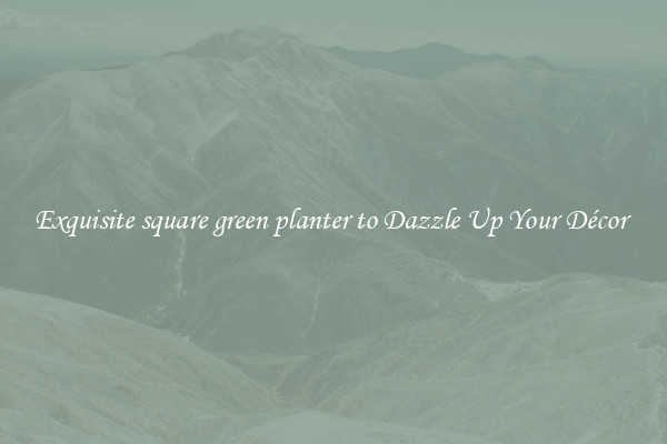 Exquisite square green planter to Dazzle Up Your Décor 