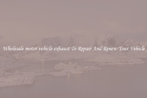 Wholesale motor vehicle exhaust To Repair And Renew Your Vehicle