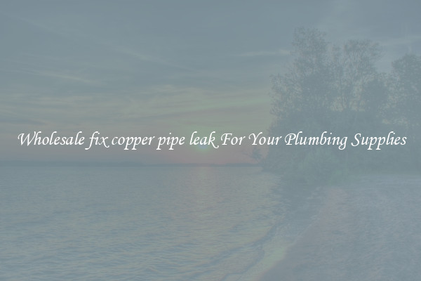 Wholesale fix copper pipe leak For Your Plumbing Supplies