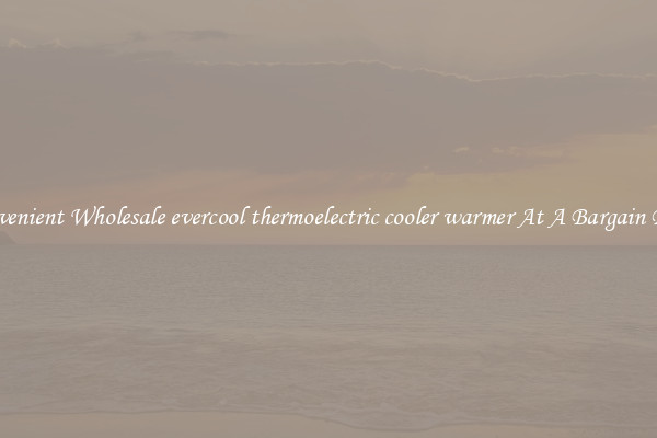 Convenient Wholesale evercool thermoelectric cooler warmer At A Bargain Price
