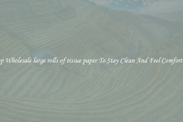 Shop Wholesale large rolls of tissue paper To Stay Clean And Feel Comfortable