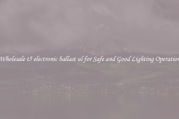 Wholesale t5 electronic ballast ul for Safe and Good Lighting Operation
